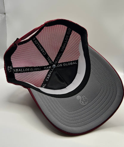 Burgundy / Gray / White logo